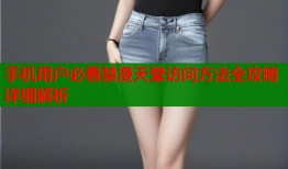 手机用户必看禁漫天堂访问方法全攻略详细解析