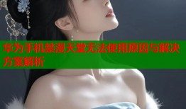 华为手机禁漫天堂无法使用原因与解决方案解析