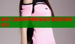 崩坏三温泉事件揭秘禁漫天堂背后真相探讨