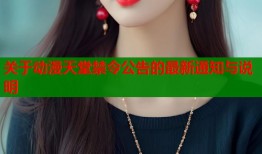 关于动漫天堂禁令公告的最新通知与说明